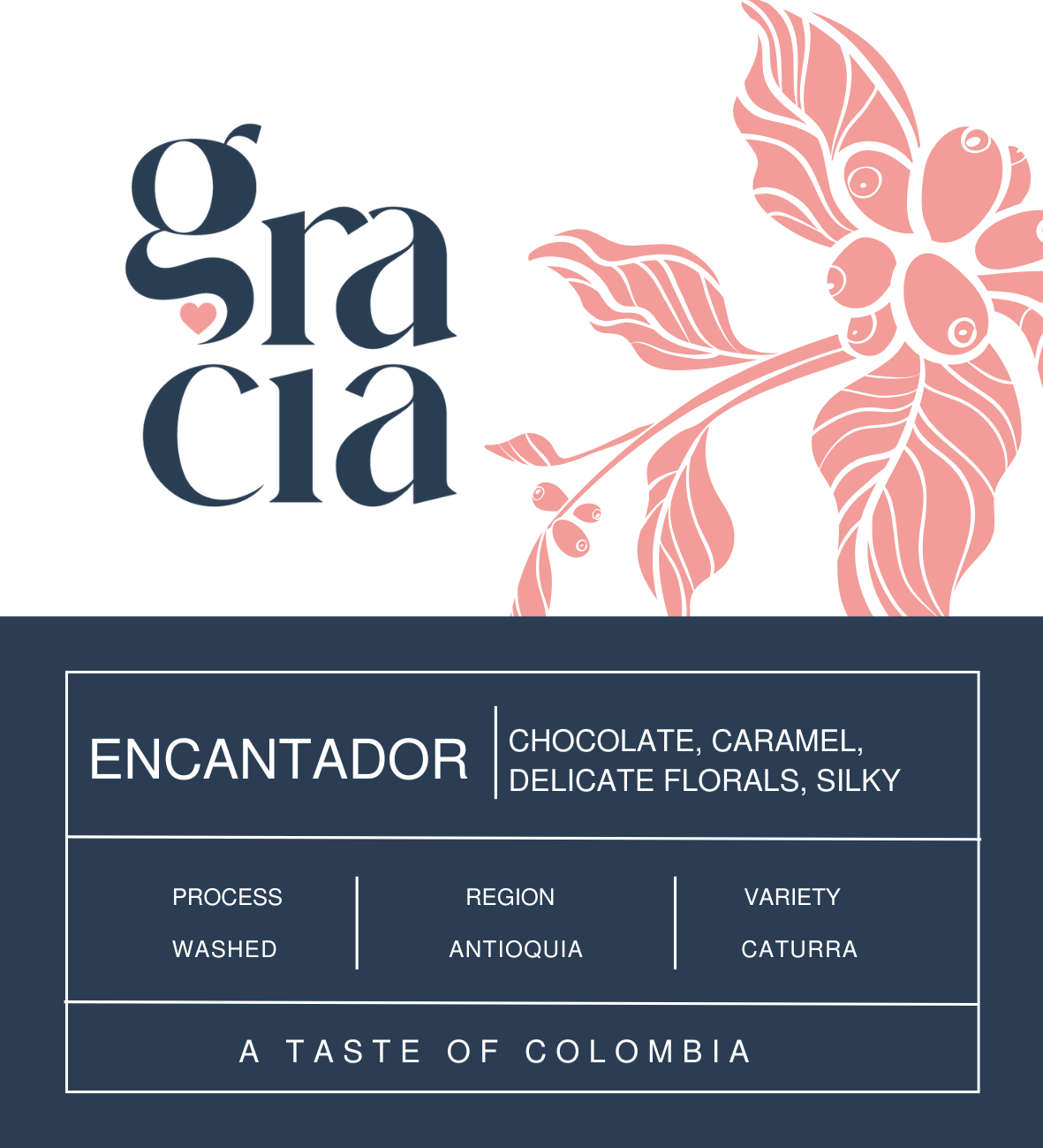 Encantador  - Antioquia Region - Ground Coffee